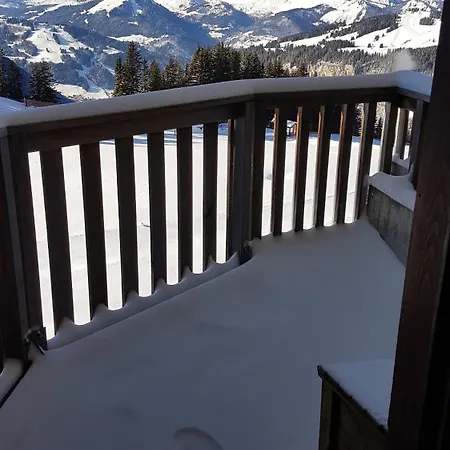De Charme Vue Exceptionnelle Malinka Skis Aux Pieds Proche Parking * Avoriaz